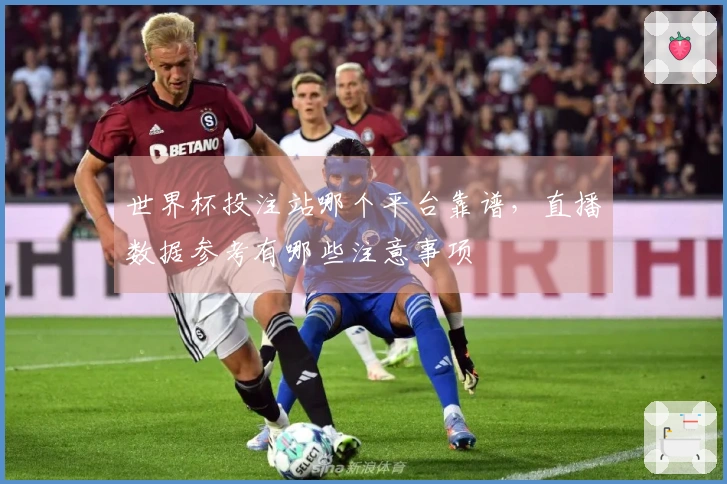 世界杯投注站哪个平台靠谱，直播数据参考有哪些注意事项