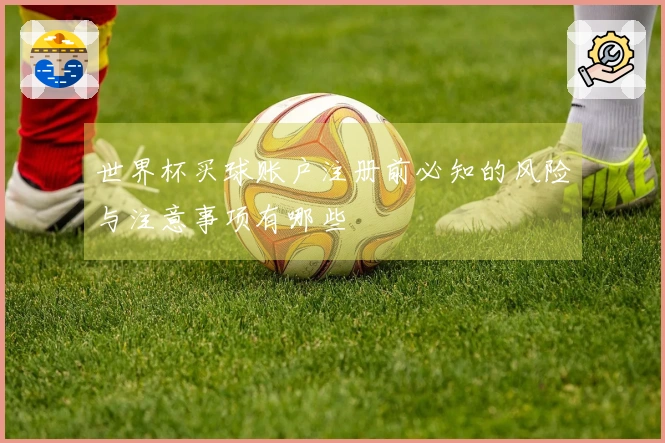 世界杯买球账户注册前必知的风险与注意事项有哪些