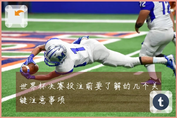 世界杯决赛投注前要了解的几个关键注意事项